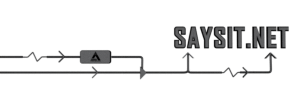 SAYSIT.NET